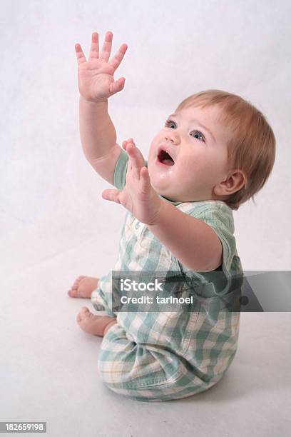Reaching For The Stars Stock Photo - Download Image Now - Animal Body, Animal Body Part, Animal Skin