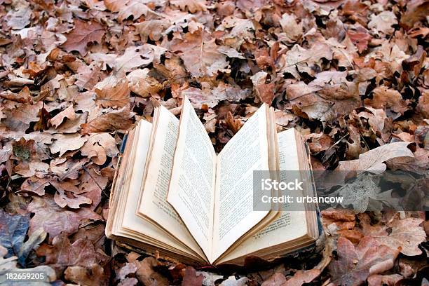 Jesień Książki - zdjęcia stockowe i więcej obrazów Jesień - Jesień, Stara książka, Antyczny
