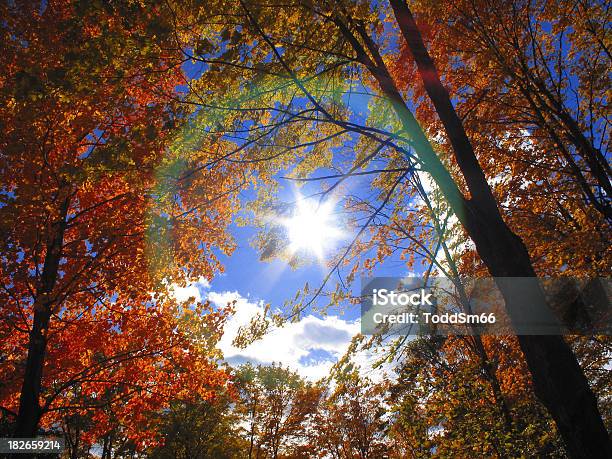 Jesień Dzień - zdjęcia stockowe i więcej obrazów Listopad - Listopad, Park publiczny, Stan Massachusetts
