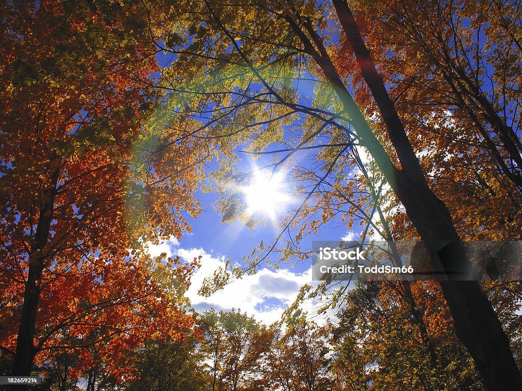 Осенний день - Стоковые фото Массачусетс роялти-фри