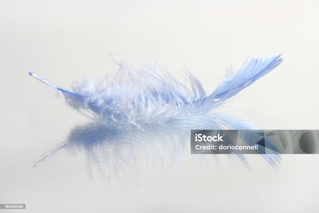 feather - Zbiór zdjęć royalty-free (Pióro - Tworzywo)