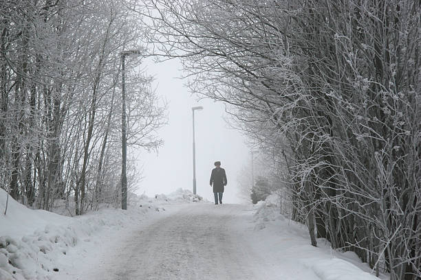 Walking in the winter forest stock photo