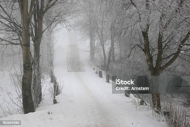 Cold Trees Stock Photo - Download Image Now - Beech Tree, Branch - Plant Part, Bridge - Built Structure