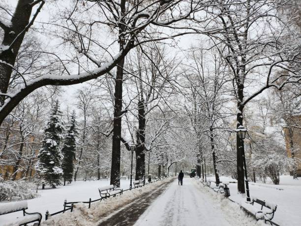 istock Panorama of Krakow in winter. 1826592829