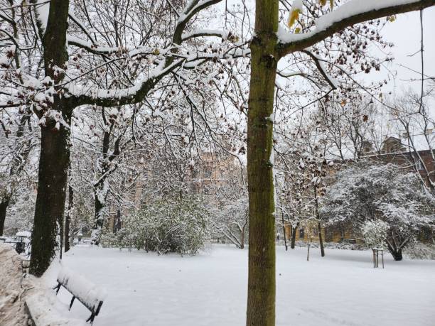 istock Krakow in the winter, covered with snow. 1826593577