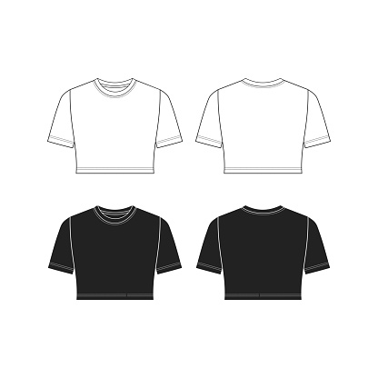 Crew neck crop top women's t-shirt template drawing, basic t-shirt drawing, White Background