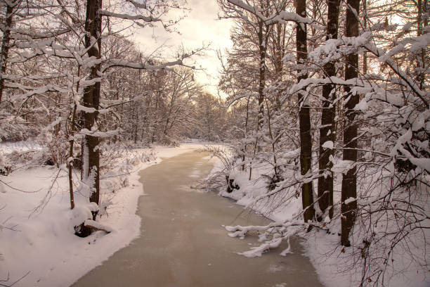 istock Winter in the park 1826598987