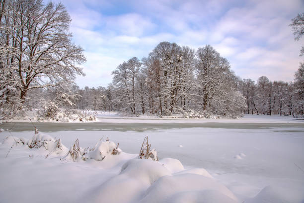 istock Winter in the park 1826599001