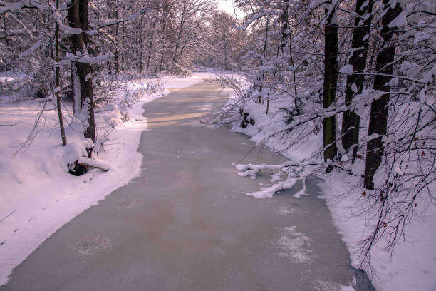istock Winter in the park 1826599055
