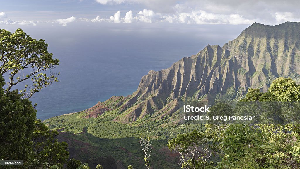 Mirante Kalalau de Na Pali coast - Foto de stock de Ilhas do Havaí royalty-free