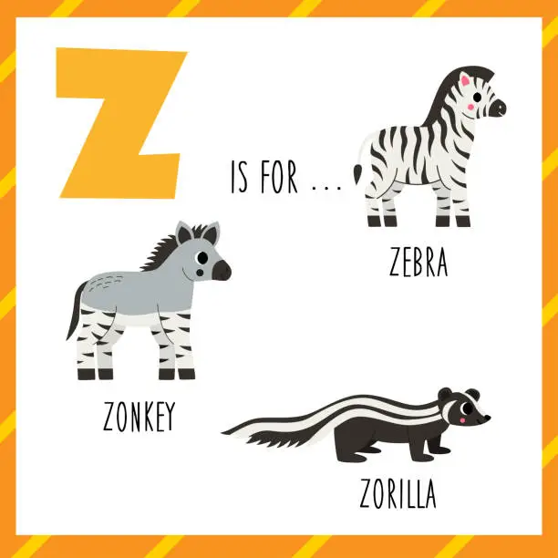 Vector illustration of Learning English alphabet for kids. Letter z. Cute cartoon zebra zonkey zorilla.