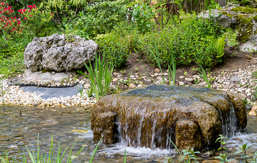 Water spring on a botanical garden during springtime. Landscape background and wallpaper.