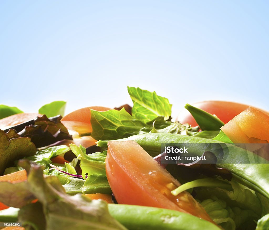 Fresh Salad (blue background)  Salad Stock Photo