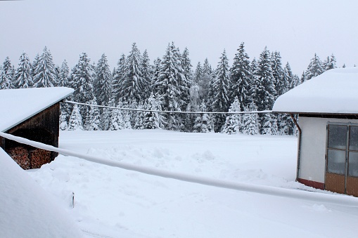 Snow-covered rural scene: a workshop on the right, firewood on the left, snow-covered power lines, fir trees in the background. Allgäu, Bavaria