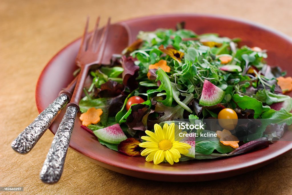 Salada Primavera - Royalty-free Alface Foto de stock