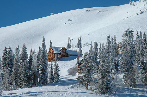 Winter snows cover the forest of Banff National Park, Canada