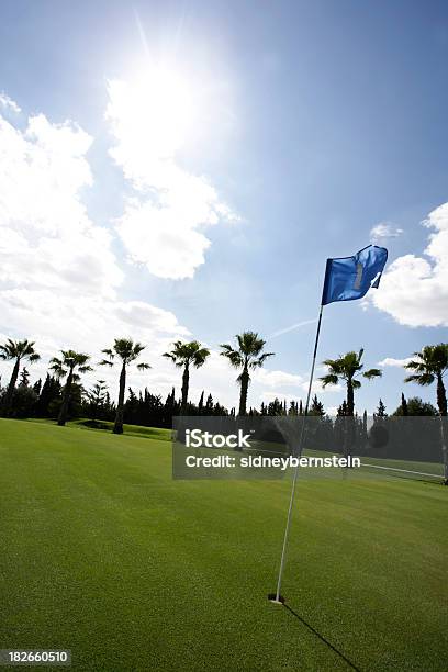 Golf Pin W Breeze - zdjęcia stockowe i więcej obrazów Aspiracje - Aspiracje, Czynność, Dzień