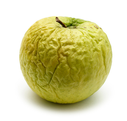 Wrinkled apple, concept ageing, dry skin, passing of time, past your prime etc