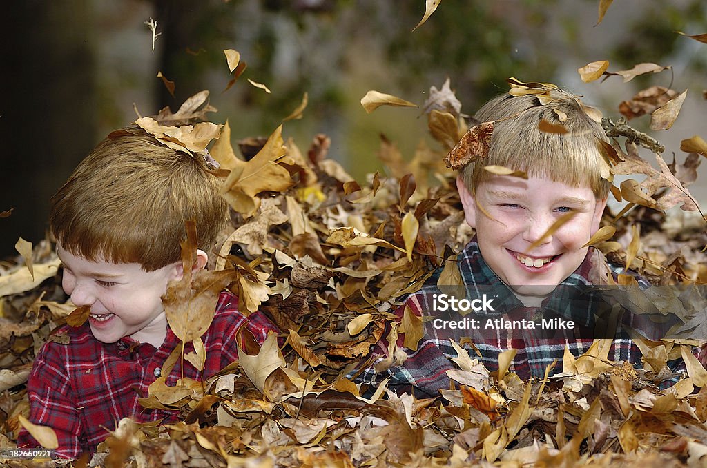 Hijos en hojas - Foto de stock de Hoja libre de derechos