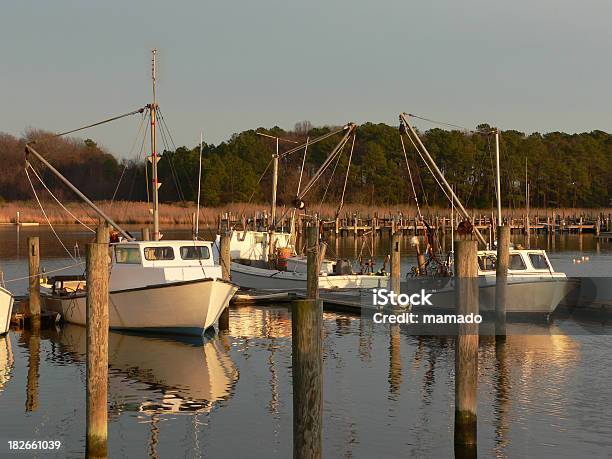 Ostras Embarcaciones En El Puerto Foto de stock y más banco de imágenes de Bahía de Chesapeake - Bahía de Chesapeake, Embarcación marina, Agua