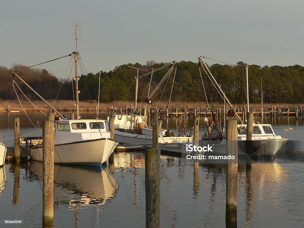 Oyster Bateaux dans le port - Photo de Chesapeake Bay libre de droits