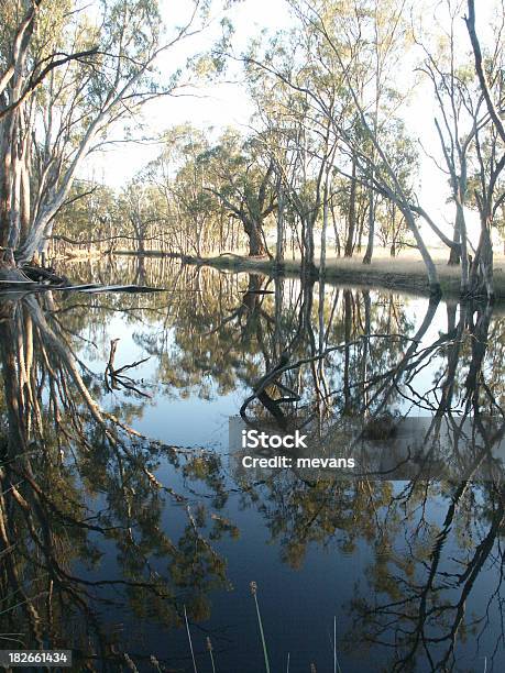 Foto de Billabong Ao Nascer Do Sol e mais fotos de stock de Alagado - Água parada - Alagado - Água parada, Austrália, Cultura Australiana