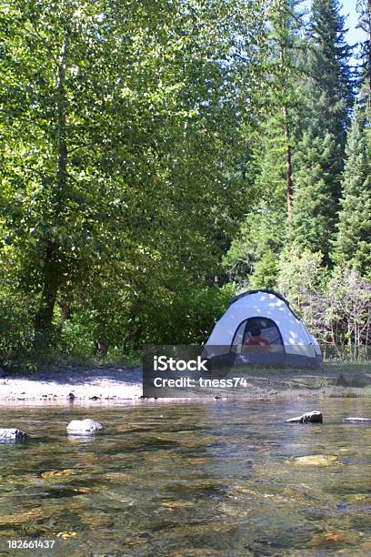 Riverside Campsite - Fotografias de stock e mais imagens de Acampar - Acampar, Ao Ar Livre, Cor verde