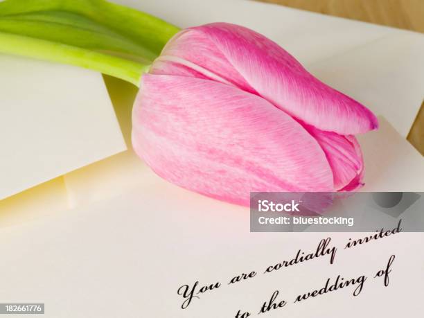 Convite De Casamento E Tulipa - Fotografias de stock e mais imagens de Amor - Amor, Arranjo de flores, Botão - Estágio de flora