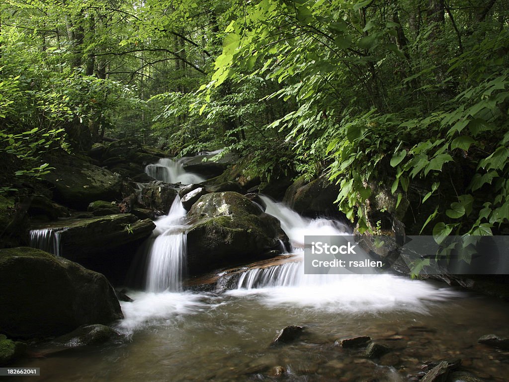 North Carolina Creek - Lizenzfrei Bach Stock-Foto