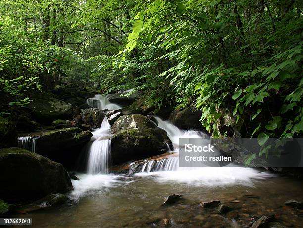 North Carolina Creek Stockfoto und mehr Bilder von Bach - Bach, Fallen, Fließendes Gewässer