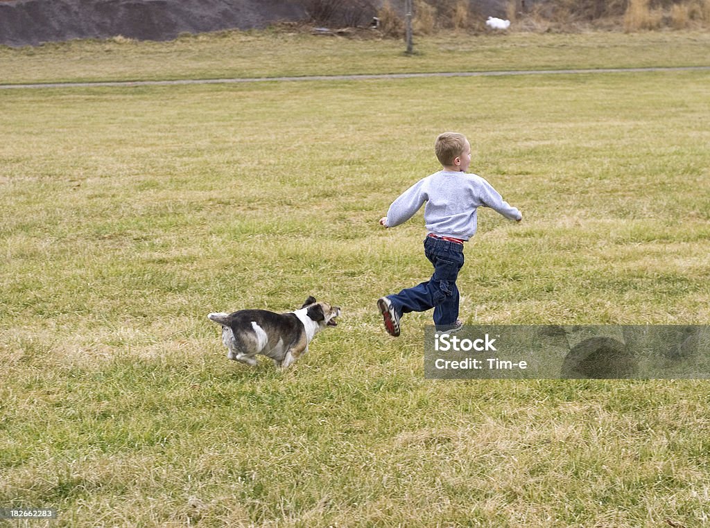 Boy and dog2 A boy playing with his dog in field. Activity Stock Photo