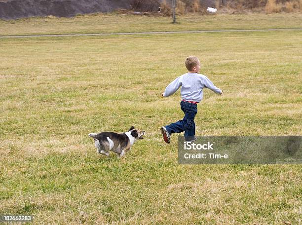 Boy And Dog2 Stock Photo - Download Image Now - Activity, Agricultural Field, Animal