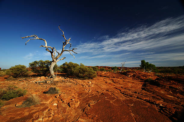 irgendwo - watarrka national park stock-fotos und bilder