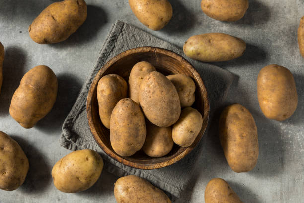 istock Raw Organic Idaho Russet Potatoes 1826625132