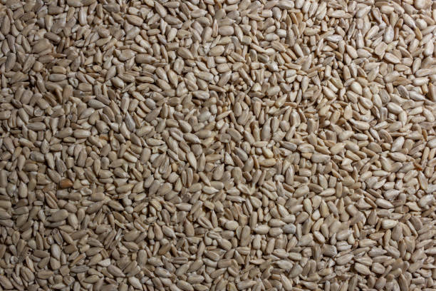 istock Peeled Sunflower Seeds Background 1826627834