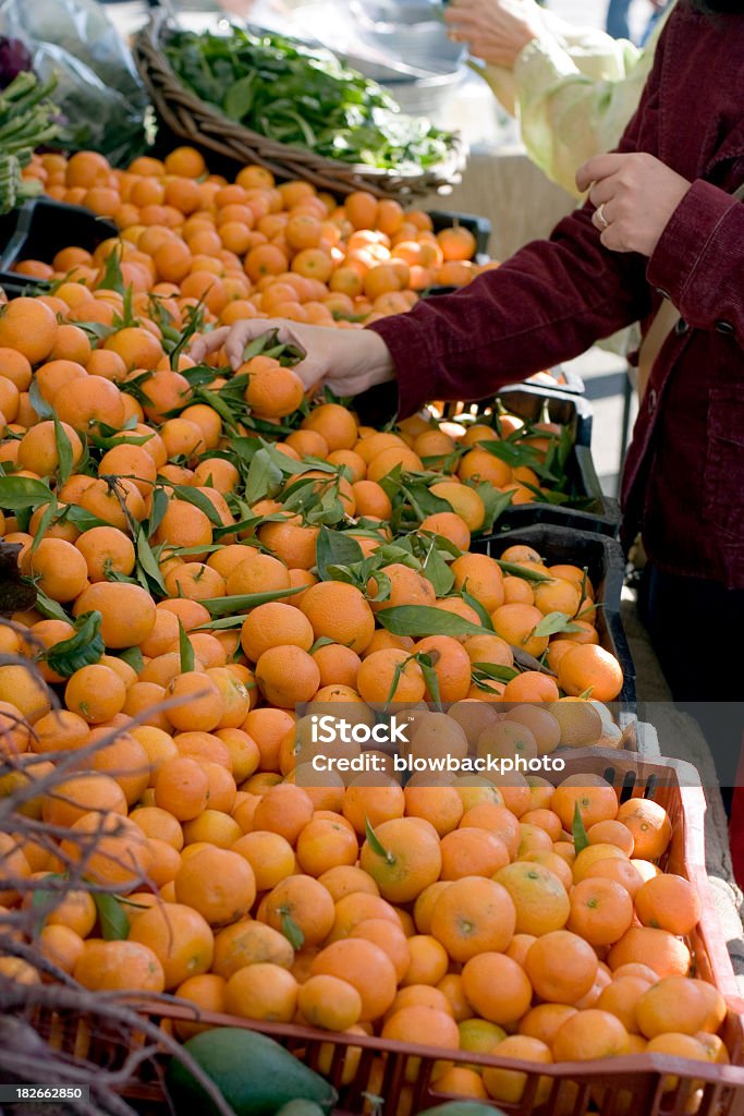 Farmers Market: Wybór produktów - Zbiór zdjęć royalty-free (Targi rolne)