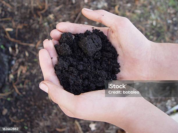 Partes Do Corpomãos Segurando O Solo - Fotografias de stock e mais imagens de Castanho - Castanho, Cor preta, Crescimento