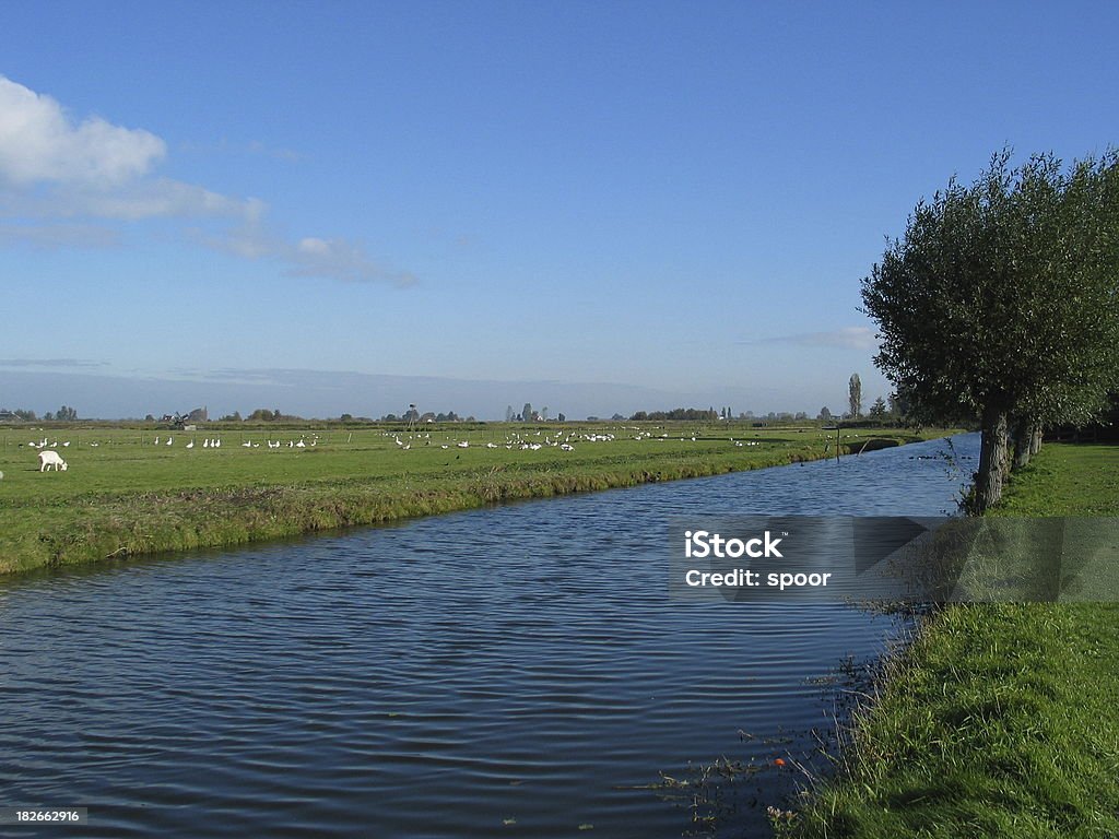 Niederländische Landschaft mit blauem Himmel und Wasser - Lizenzfrei Baum Stock-Foto