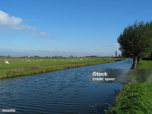 Niederländische Landschaft Mit Blauem Himmel Und Wasser Stockfoto und mehr Bilder von Baum