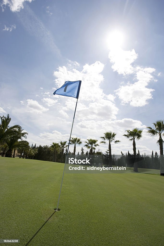 Bandeira de golfe na brisa 6 - Foto de stock de Atividade royalty-free