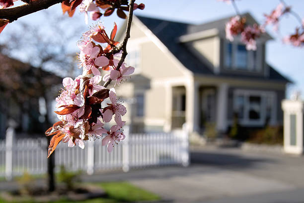 Blossoming Neighborhood