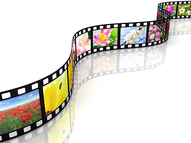 istock Filmstrip with flowers 182663755