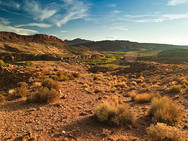 istock Canyon horizon in summer 182663834