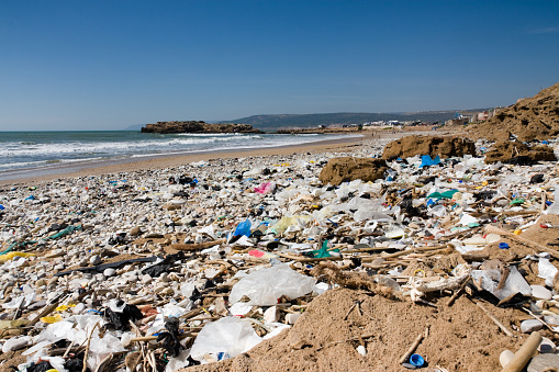 Plastic, debris and other rubbish washed up on a heavily polluted beach. Marine pollution such as toxic runoff, industrial, agricultural and residential waste can have catastrophic impacts for marine life and the marine ecosystem.