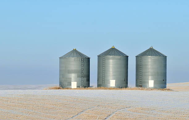 Silos in the prairies in a winter landscape, Alberta,Canada.