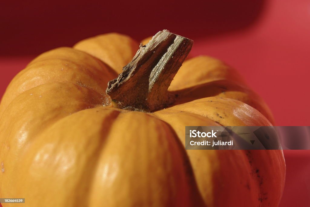 a little pumpkin on red background pumpkin on red background Autumn Stock Photo