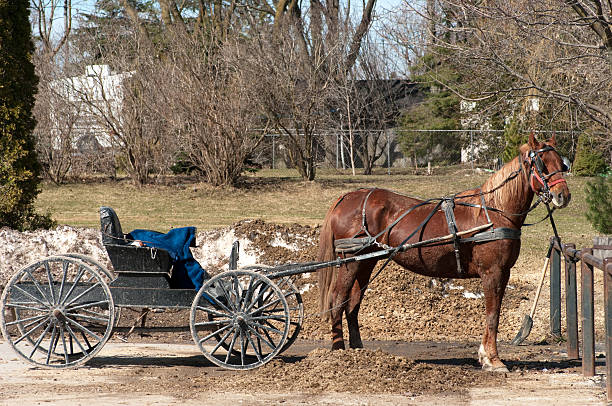 istock Horse and Buggy Parking 182664640