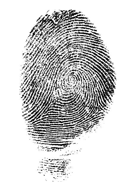istock Black Fingerprint - Hi Res 182664656