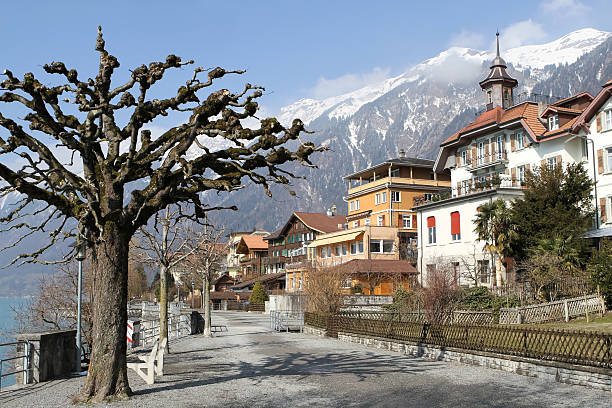 passeggiata accanto al lago di brienz, canton berna, svizzera - swiss culture chalet brienz european alps foto e immagini stock