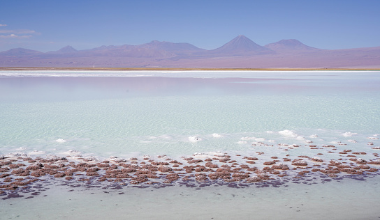 llano de tebinquinche，Discover the natural splendor of the Atacama Salt Flats with this full-day excursion from San Pedro de Atacama